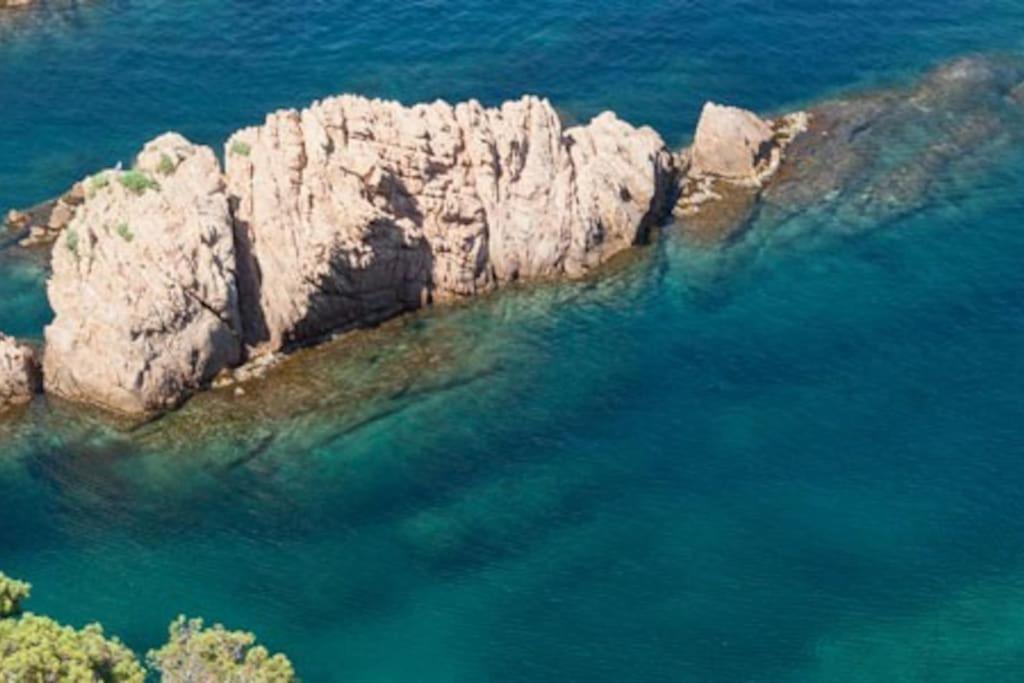 Costa Brava Soul Lejlighed Sant Feliu de Guíxols Eksteriør billede